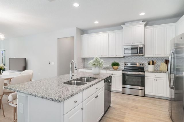 30950 PARROT REEF COURT, Wesley Chapel, FL 33545