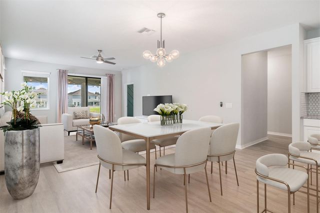 30950 PARROT REEF COURT, Wesley Chapel, FL 33545