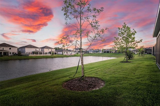 30950 PARROT REEF COURT, Wesley Chapel, FL 33545