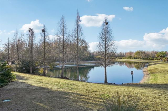 32451 NATURAL BRIDGE ROAD, Wesley Chapel, FL 33543