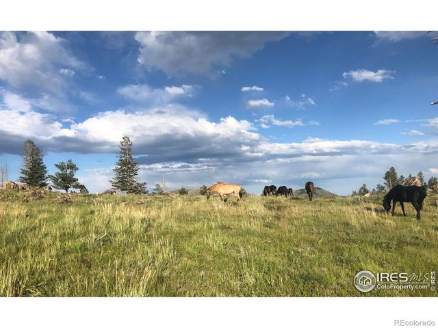 3235 Davis Ranch Road, Bellvue, CO 80512