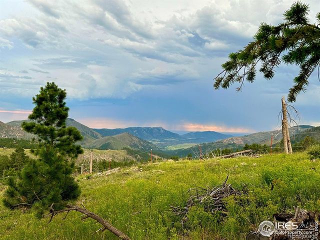 3235 Davis Ranch Road, Bellvue, CO 80512