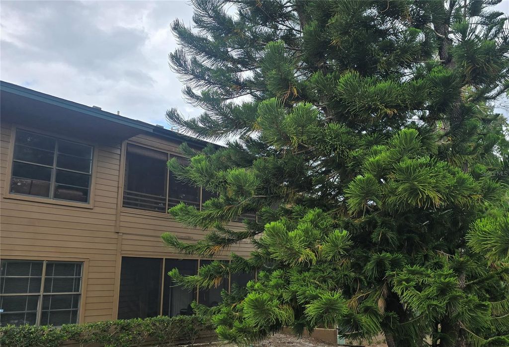 406 LENNOX ROAD W, Palm Harbor, FL 34683