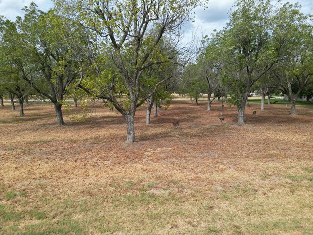 1313 Cirrus Loop, Granbury, TX 76049