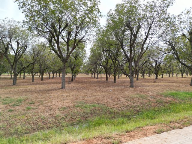 1313 Cirrus Loop, Granbury, TX 76049