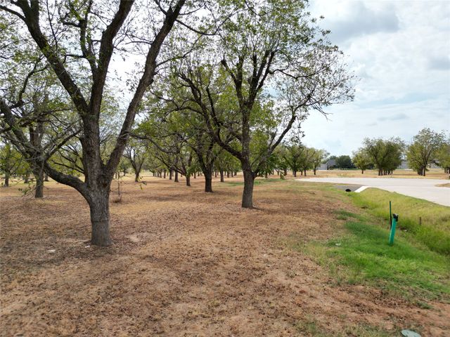 1313 Cirrus Loop, Granbury, TX 76049