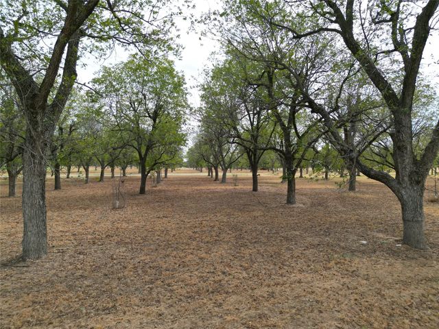 1313 Cirrus Loop, Granbury, TX 76049