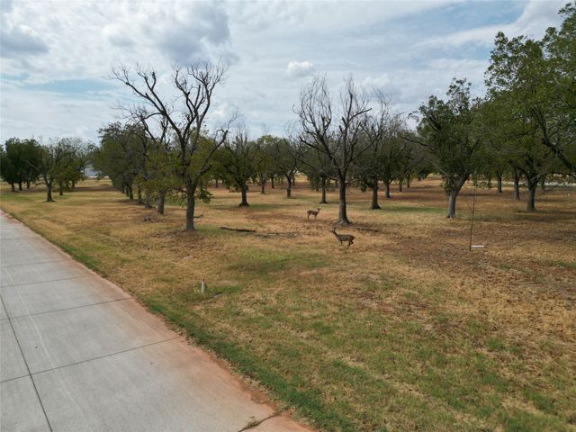 1313 Cirrus Loop, Granbury, TX 76049