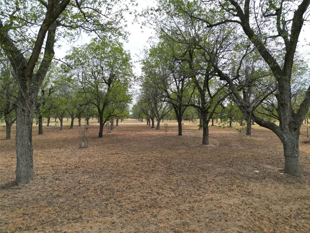 1313 Cirrus Loop, Granbury, TX 76049 — photo 2