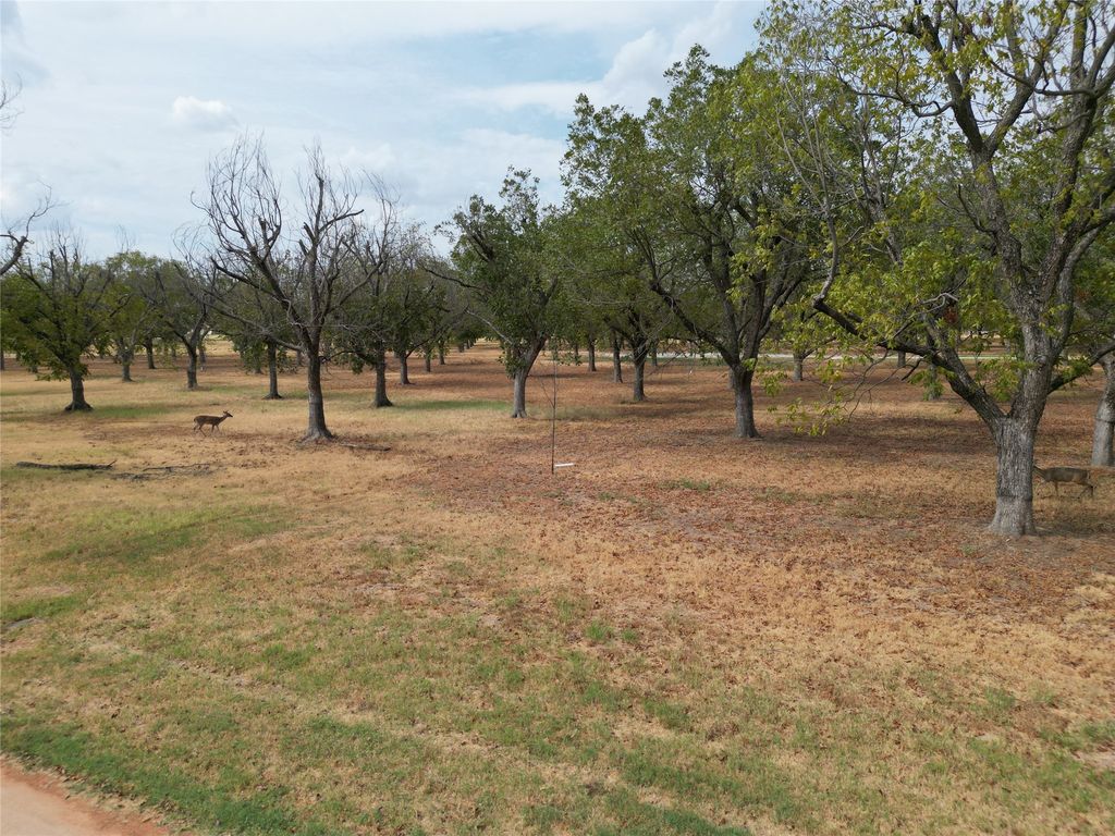 1313 Cirrus Loop, Granbury, TX 76049 — photo 3