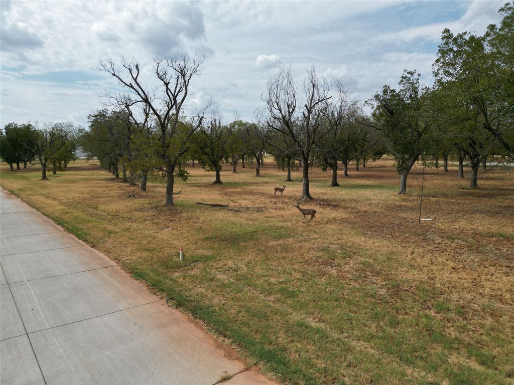 1313 Cirrus Loop, Granbury, TX 76049 — photo 4