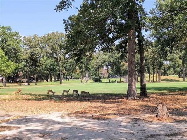 203 Saint Andrews Drive, Mabank, TX 75156