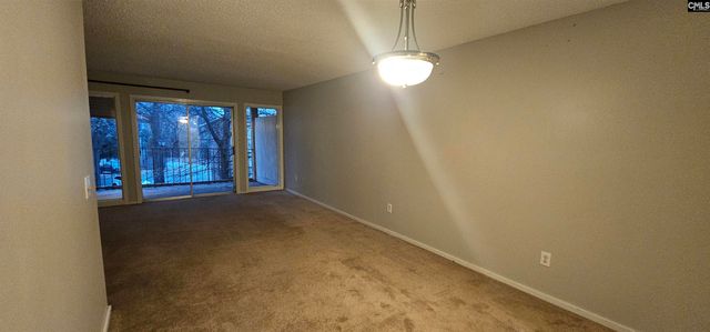 1208 Bush River Road P6, Columbia, SC 29210