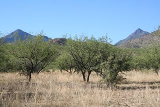 000 Bond Canyon Road # 63, Tubac, AZ 85646