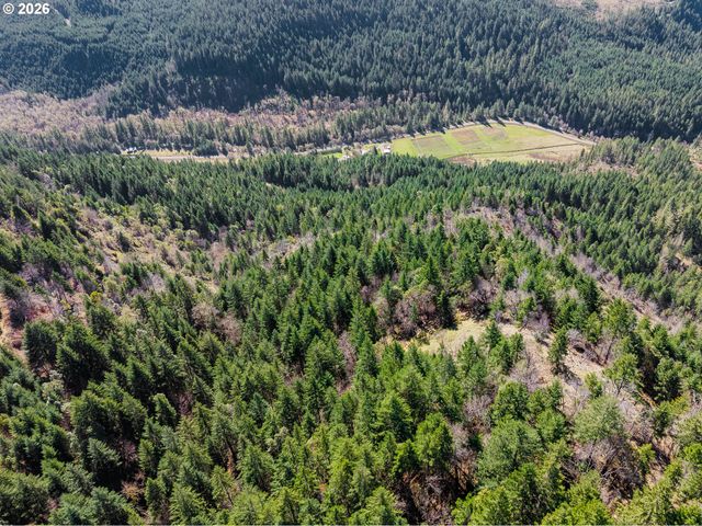 14536 LITTLE RIVER Rd, Glide, OR 97443