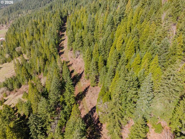 14536 LITTLE RIVER Rd, Glide, OR 97443