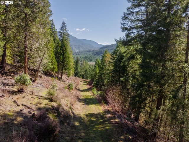 14536 LITTLE RIVER Rd, Glide, OR 97443