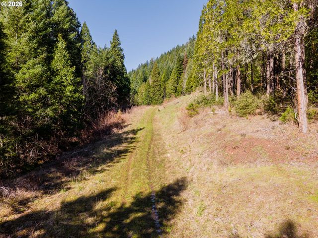 14536 LITTLE RIVER Rd, Glide, OR 97443