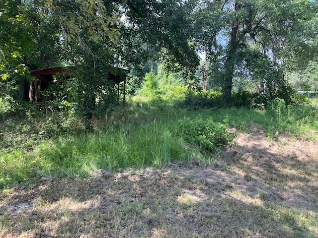 238 Knotty Oak, Livingston, TX 77351