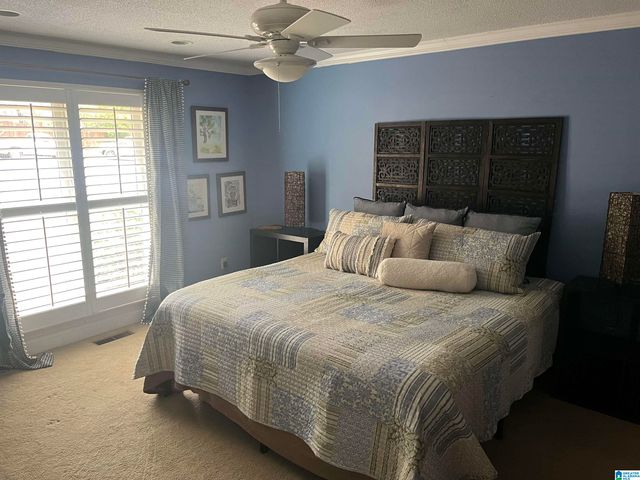 209 AVANTI CIRCLE, Hoover, AL 35226