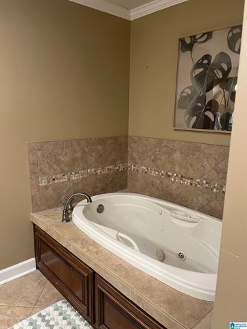 209 AVANTI CIRCLE, Hoover, AL 35226