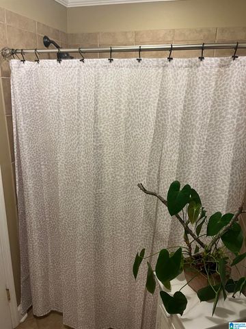 209 AVANTI CIRCLE, Hoover, AL 35226