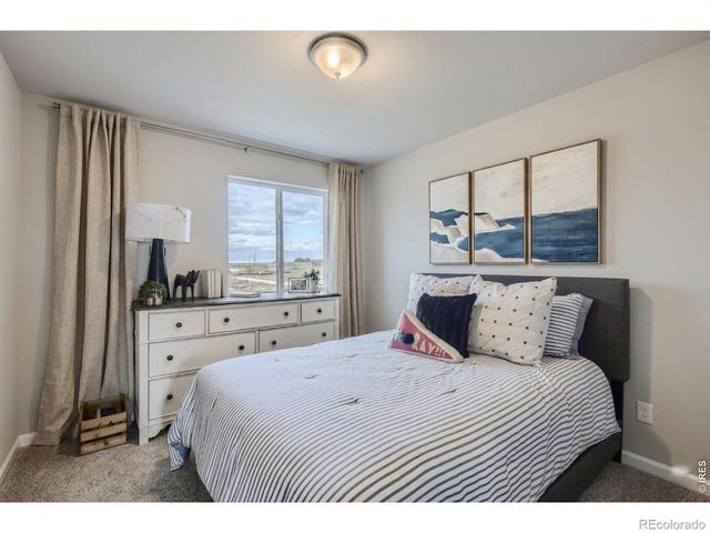 927 Nettle Lane, Fort Collins, CO 80524