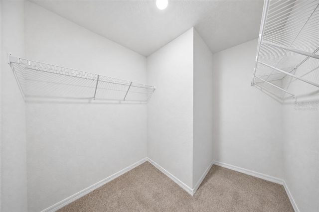 10306 SE 161ST LANE ROAD, Summerfield, FL 34491