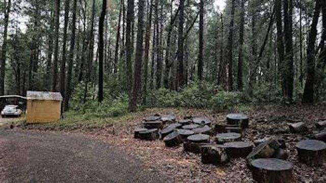 22700 Johnson Valley Rd, Foresthill, CA 95631