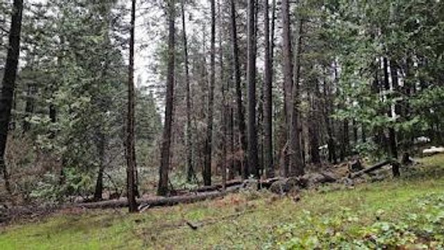 22700 Johnson Valley Rd, Foresthill, CA 95631