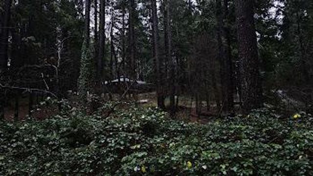 22700 Johnson Valley Rd, Foresthill, CA 95631