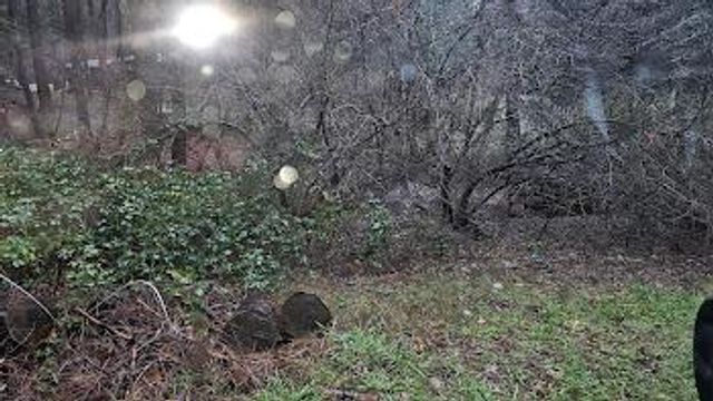 22700 Johnson Valley Rd, Foresthill, CA 95631