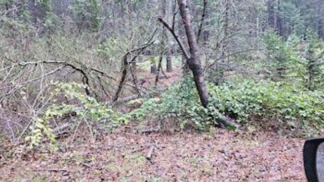 22700 Johnson Valley Rd, Foresthill, CA 95631