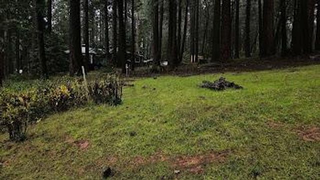 22700 Johnson Valley Rd, Foresthill, CA 95631