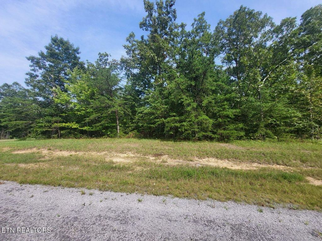 Thistle Rd. Lot 2 & 3, Monterey, TN 38574