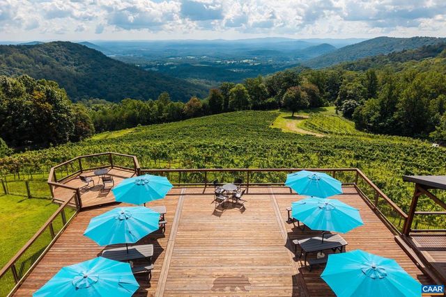 1376A WYATT MOUNTAIN RD, Dyke, VA 22935