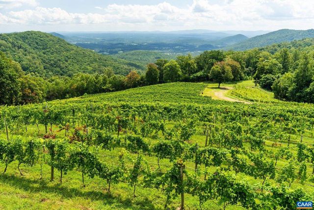 1376A WYATT MOUNTAIN RD, Dyke, VA 22935