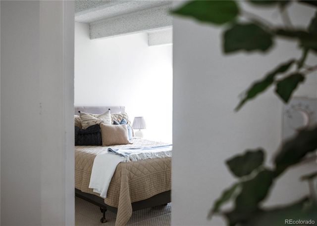 1365 Columbine Street Street 206, Denver, CO 80206