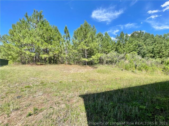 92 Hallow Oak Street, Spring Lake, NC 28390