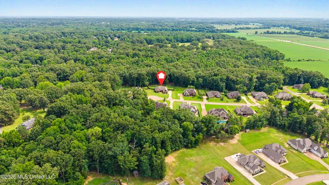 7459 Featherston Cove, Olive Branch, MS 38654