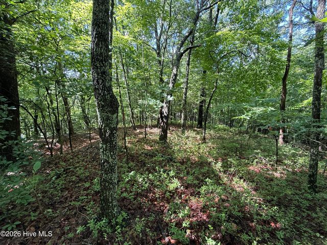 81 Roberts Road, Murphy, NC 28906