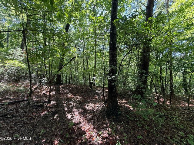 81 Roberts Road, Murphy, NC 28906