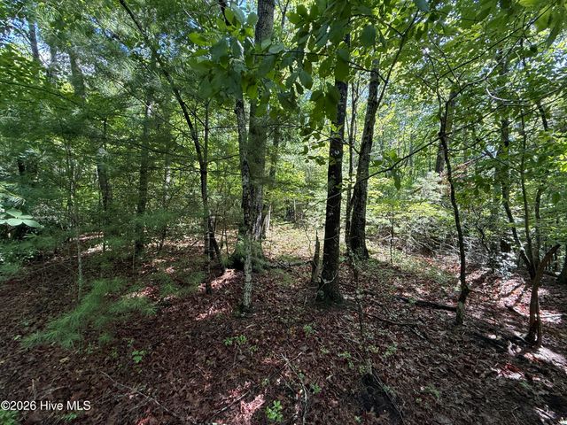 81 Roberts Road, Murphy, NC 28906