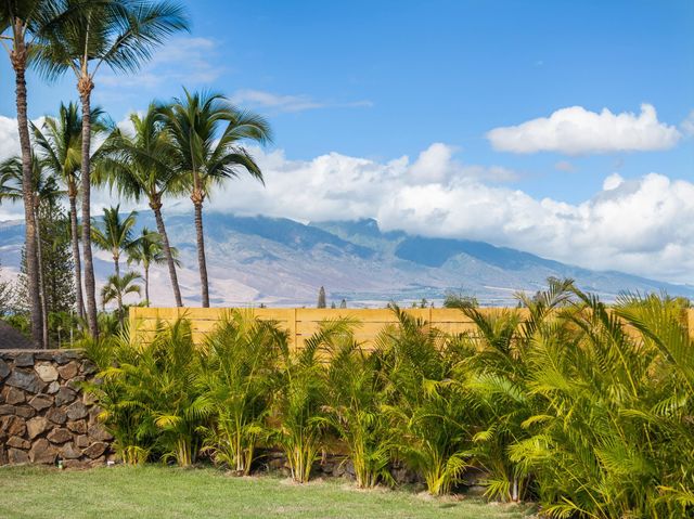 2040 Kanakanui Rd, Kihei, HI 96753