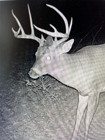 11171 KY Hwy 392, Cynthiana, KY 41031