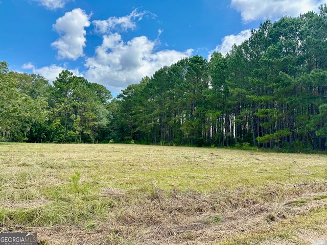 3360 Strickland Avenue Extension, Blackshear, GA 31516