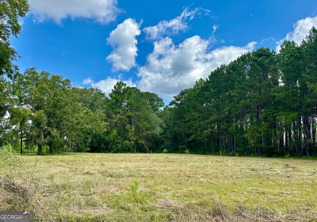 3360 Strickland Avenue Extension, Blackshear, GA 31516