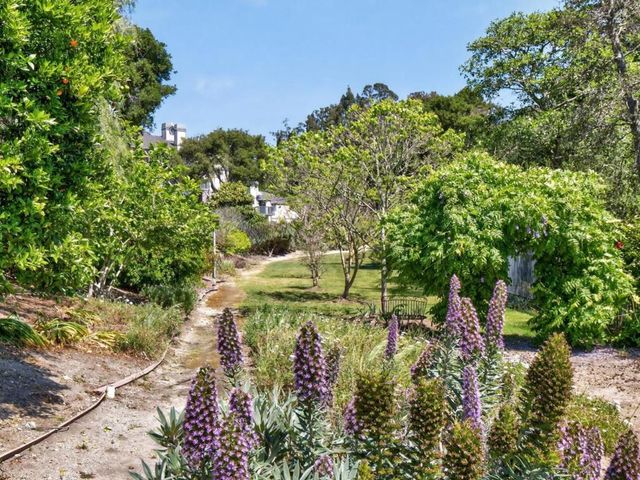 67 S Branciforte Avenue, Santa Cruz, CA 95062