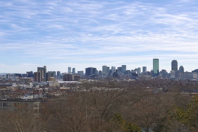 1 Nevins Hill Way 509, Boston, MA 02135