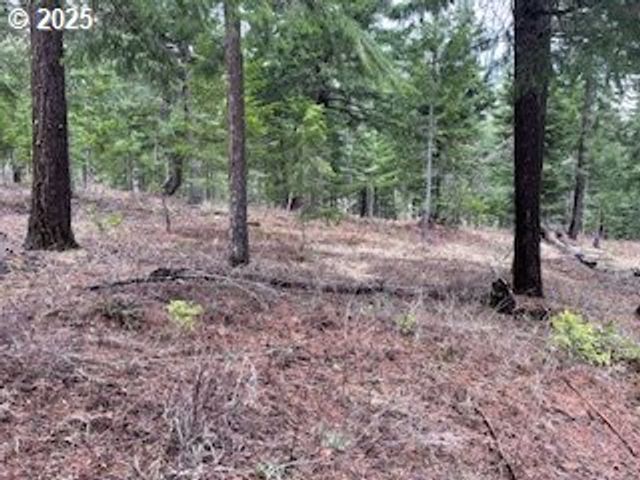 KIDA Rd #2, White Salmon, WA 98672